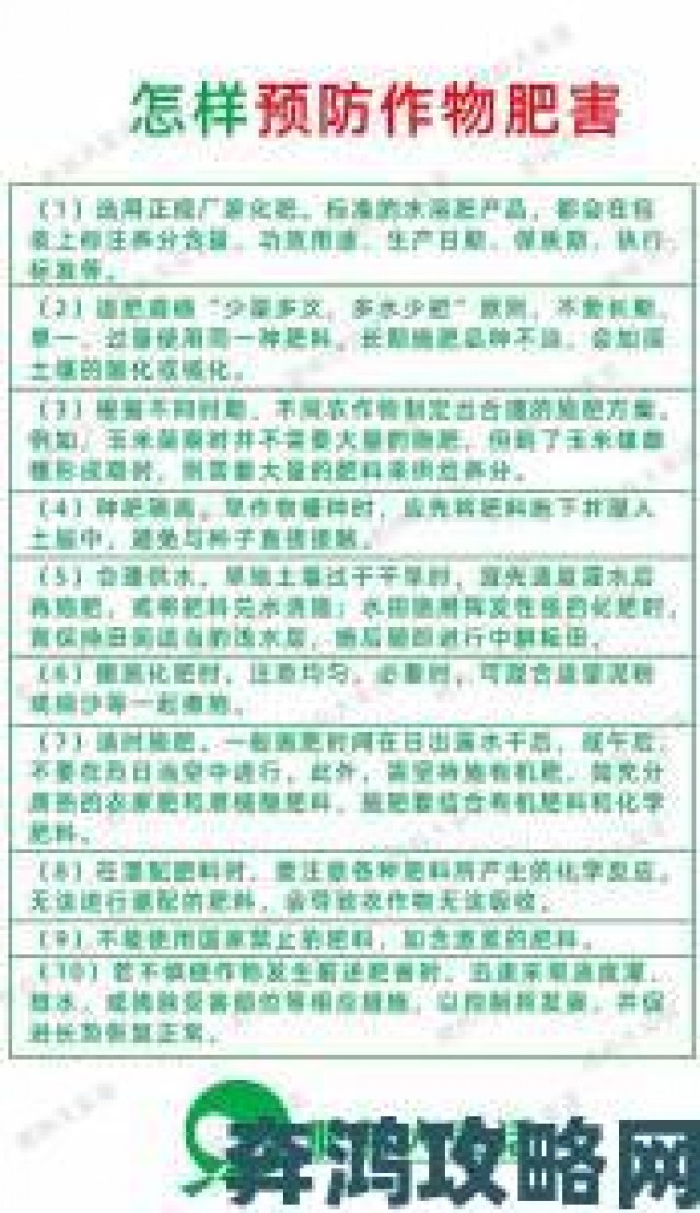 精彩|偷偷草高效种植指南手把手教你避开常见误区