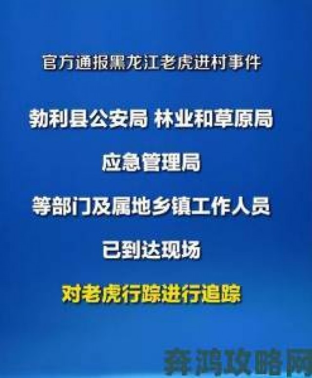 解析|东北大炕虎子事件升级官方成立专项组彻查违规施工问题