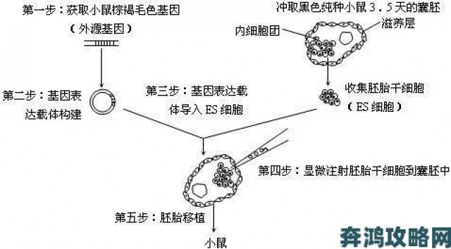 动态|人马交配为何让科学家集体沉默？揭秘基因融合真相