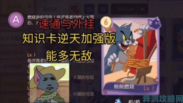 快讯|达猫小分队炼金新版本猫猫好用推荐