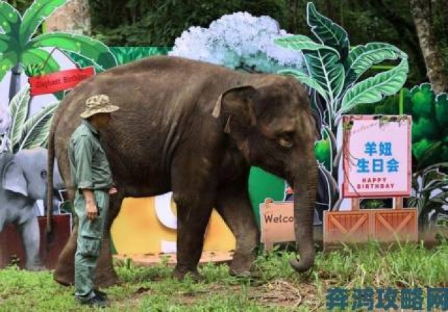 动态|住客大人心愿大象的选择介绍