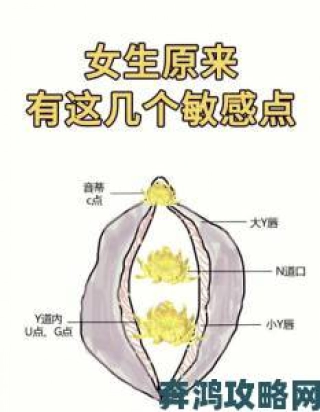 战斗|掌握扣小花园的七种手势，让你的游戏体验更上一层楼，轻松获取丰厚奖励攻略分享