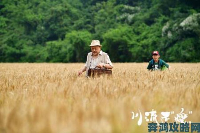 分享|大地8在线影视免费观看流量暴增背后暗藏非法资源传播风险