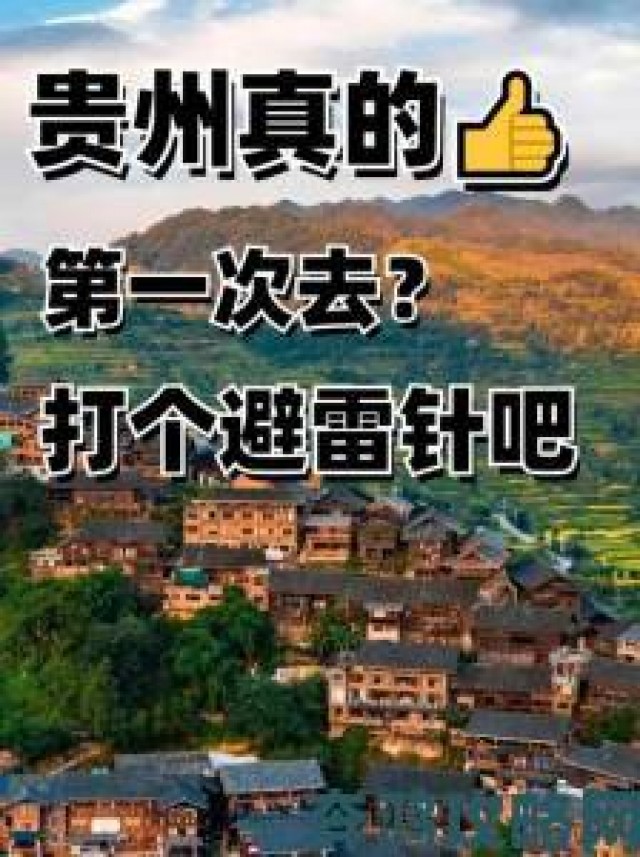 分享|免费高清另类内容深度解析：资源获取与使用避雷手册