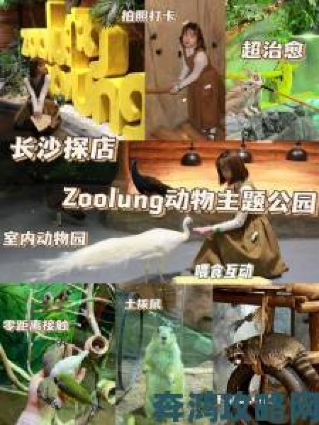 解读|美国zoom动物仙踪林如何打造沉浸式动物互动体验