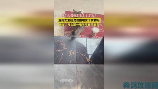 动态|深度调查国精产品无人区一码二码三背后的产业链突围之路