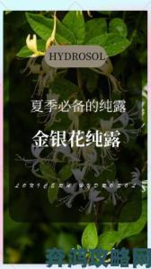 反馈|《一泻千里》金银花露真的能有效缓解体内燥热吗