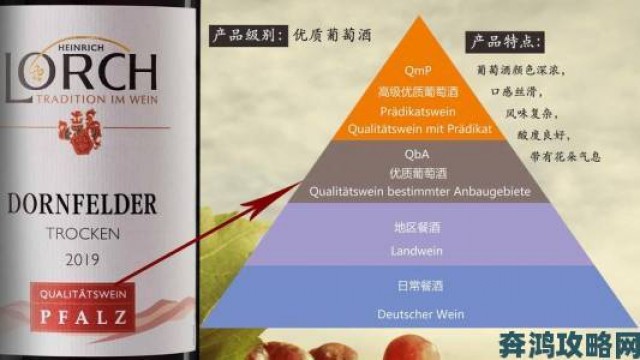 快讯|精产国品一二三产区区别在线观看实用技巧指南轻松辨别