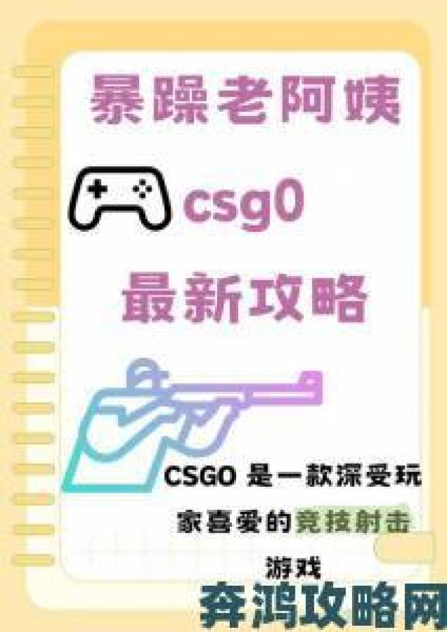 据悉|暴躁老阿姨CSGO技巧凭什么能横扫各大服务器榜单