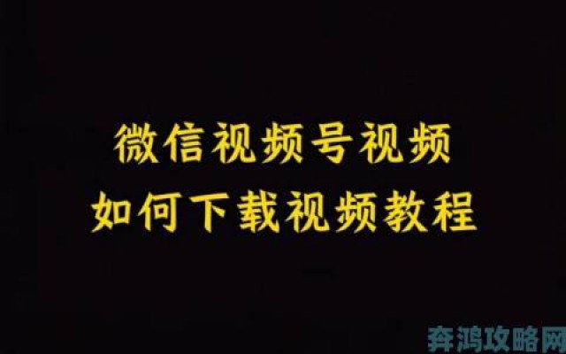 礼包|免费播放的视频第二集下载详细步骤无需会员也能离线观看