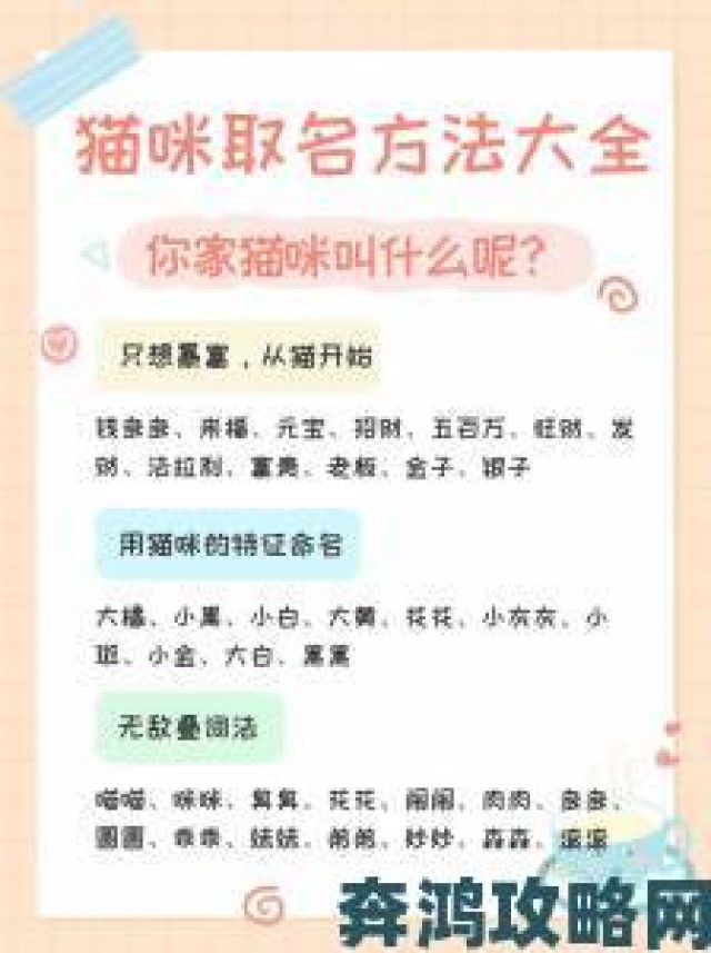 评估|猫咪成人最新地域网名怎么取成热点各地网民创意案例大盘点