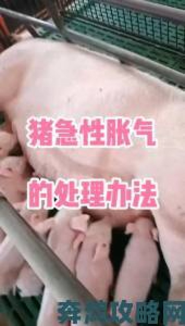 即时|养猪攻略：活下去的技巧分享