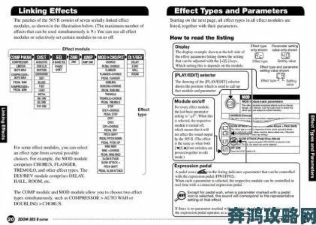 攻略|美国Zoom与动物Zoom小白入门到精通完整攻略一步到位