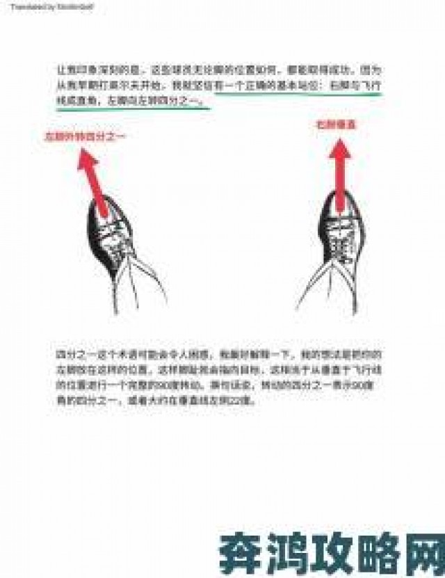 即时|嗯啊嗯啊技巧全解析：从入门到精通的十大实操攻略