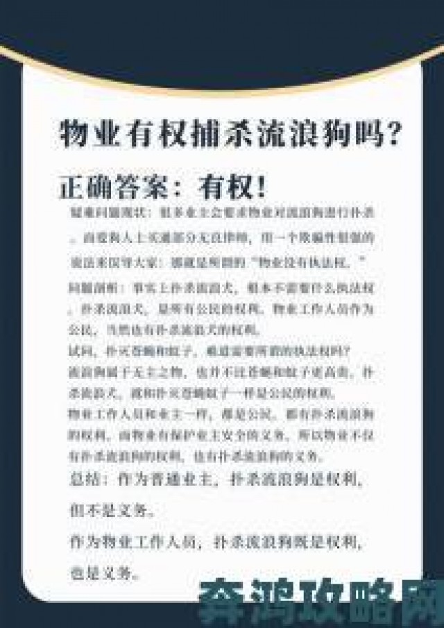 反馈|小如破旧仓库长期养护流浪狗的日常管理经验与避雷贴士