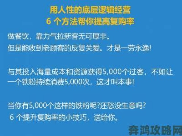 新手|交替轮换4的底层逻辑拆解这样制定策略才能事半功倍