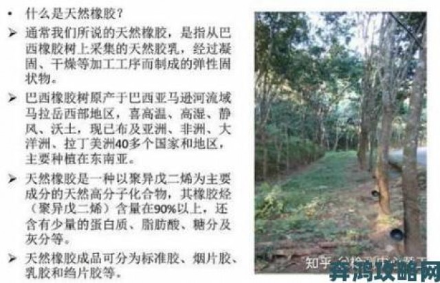 玩法|深度解析99精产国品一二三产区如何重塑行业生态