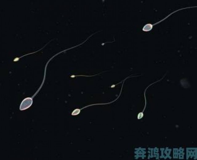 传闻|如何快速找到小蝌蚪旧版安装包并确保下载过程无病毒