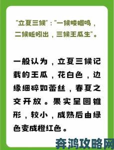 揭秘51吃瓜老虎菜98年幼师的出生日期背后隐藏了怎样的故事与人生经历？