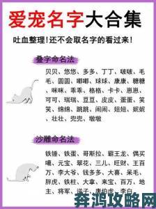 猫咪MV最新地域网名怎么取引爆全网这三大地域元素成取名关键