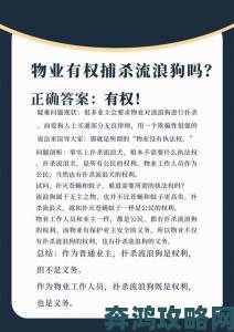 小如破旧仓库长期养护流浪狗的日常管理经验与避雷贴士