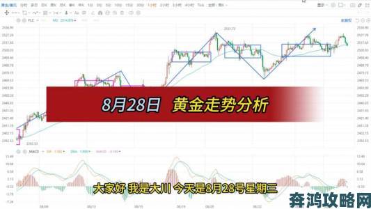 今日黄金价格走势图突发异动：投资者必看的市场风险预警