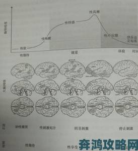 性学专家呼吁：男女啪啪做爰高潮无遮挡需关注科学引导方式