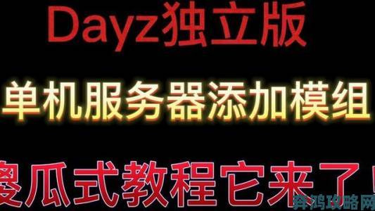 《Dayz》模组安装常见问题及解决办法