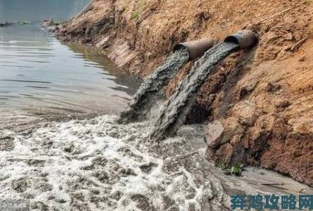 山东宁阳化工园区污染地下水引发癌症高发