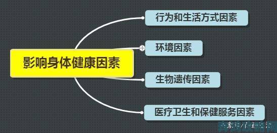 公翁大龟挺进我的小环境后的饮食调整与健康监测教程