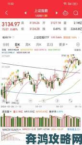 中文在线12月2日快速上涨背后真相及中长期布局策略详解