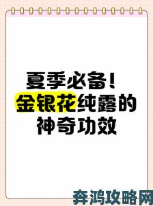 《一泻千里》金银花露真的能解决夏季上火问题吗