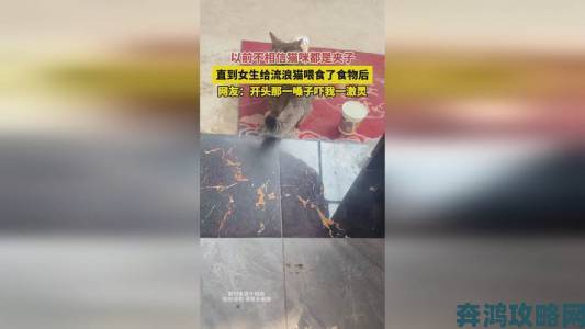 深度调查国精产品无人区一码二码三背后的产业链突围之路