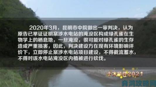 从灭火宝贝02法版法国举报案例看公众监督如何推动社会法治进程