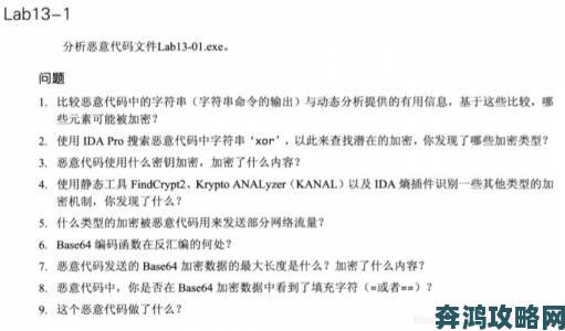 高清乱码免费资源暗含恶意代码这些举报经验值得收藏