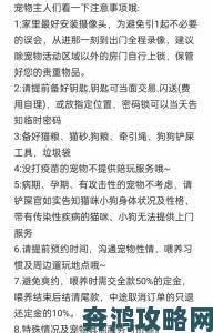 老公不在家狗狗的东西能要吗揭秘宠物用品共享的潜规则与实用攻略