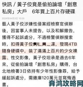 丰年经的继拇中文3的特色和机能深度测评网友最关心的十个问题