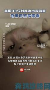 男生和女生在房间里一起生猴子正常吗动物保护协会介入调查涉事者身份