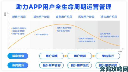 男操女网站数据驱动运营指南如何利用分析工具精准定位受众