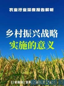 从贫困到振兴乡村欲望如何成为推动中国农村发展的核心动力