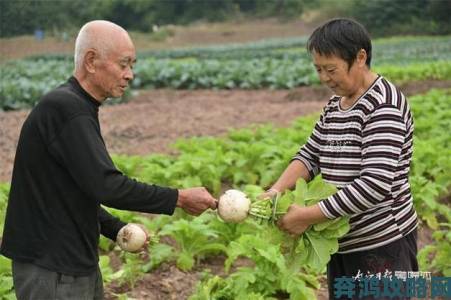 男女拔萝卜引争议村民实名举报称其涉嫌侵占公共资源