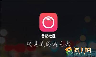 看污片十大app举报电话和网络平台双通道举报实测报告