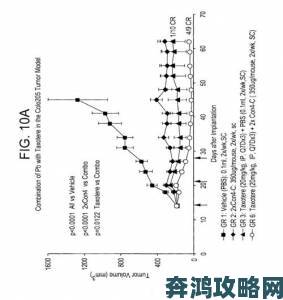 避开这些坑poein1817常见问题与解决方案全收录