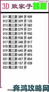 天齐网3d字谜技巧全解析从零开始快速提升猜谜准确率