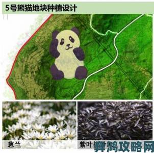 揭秘大地资源视频隐藏功能专业人士都在用的攻略