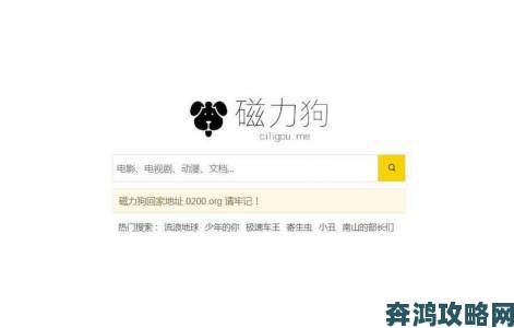 磁力狗与同类工具对比网友总结五大优势两个致命缺陷