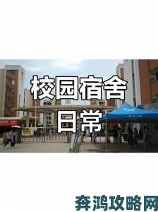 大学宿舍203寝室之白哪事件背后的宿舍文化深度剖析