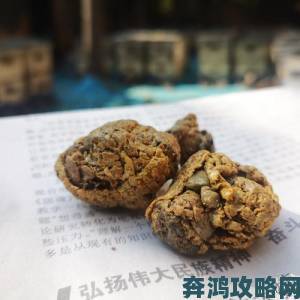 动物胶配方高清免费看零失败教程详解材料配比与核心要点