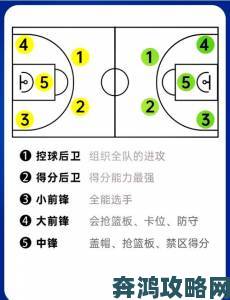 热血街篮各位置球员攻略：前锋、后卫与中锋全汇总