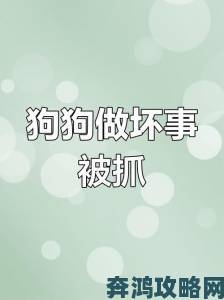 一人一狗卡住1小时真相被掩盖？实名举报者提供关键监控证据